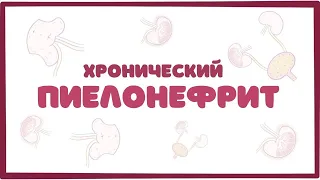 Хронический пиелонефрит - причины, симптомы, терапия (лекция)