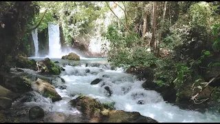 Golan & 4 Sources of the Jordan River - רמת הגולן ו 4 מקורות הירדן