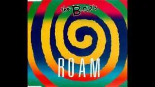 The B 52´s - Roam (12 Inch Mix)