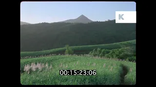 Beautiful Landscape in Mauritius, 1970s, 1980s, 35mm