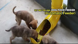 DIY Self-Filling Dog Food Feeder (Automatic Feeder)