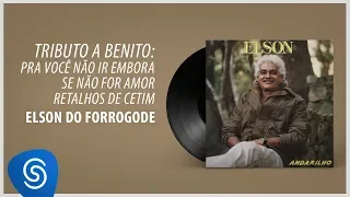 Elson do Forrogode - Tributo a Benito (Álbum Completo: Andarilho)