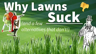 Why Lawns Suck (And A Few Alternatives That Don't)