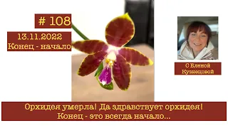 # 108 Орхидея умерла! Да здравствует орхидея! Конец - это всегда начало…