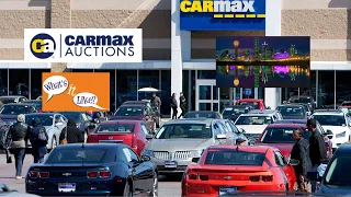 Carmax Auctions preview