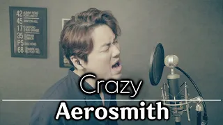 Aerosmith - Crazy (cover by Bsco)