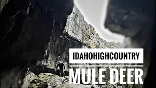 YOU WONT BELIEVE WHAT WE FOUND! | AN IDAHO MULE DEER & ELK HUNT