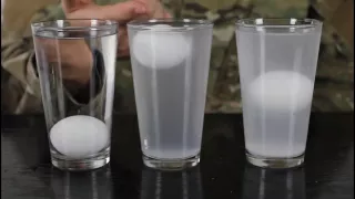 Eggs & Salt Water - Water Density Science Experiment