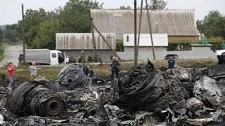 USA: MH17 von Boden-Luft-Rakete abgeschossen
