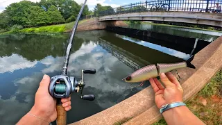 Fishing For GIANT BASS With HUGE SWIMBAITS! (Urban Pond Fishing)