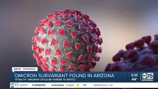 Omicron subvariant found in Arizona