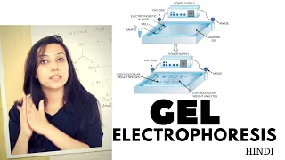 Gel Electrophoresis | Agarose Gel Electrophoresis Lab Procedure