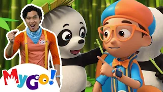Blippi's Panda Adventures | Blippi Wonders | MyGo! Sign Language | Educational Kids Cartoons
