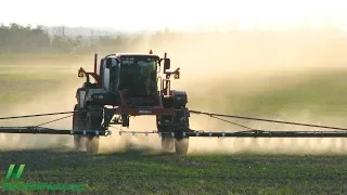 Jsou GMO potraviny bezpečné? Případ sóji Roundup-ready