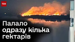 🔥 КИЇВ охопила масштабна ПОЖЕЖА! Чи вдалося загасити? НАЖИВО з місця