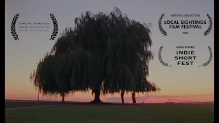 The Willow (Short Film - 16mm)