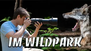 Tierfotografie mit dem Sigma 150-600mm - Einfache 📷 Foto Tipps