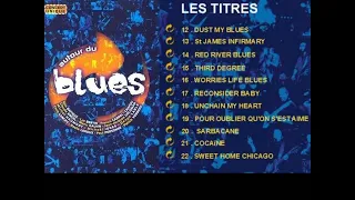 Autour du Blues 2001 - Le concert Part 2