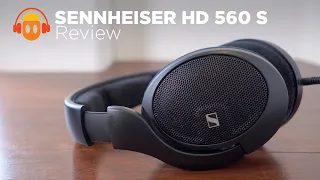 Sennheiser HD 560 S Review: Aspirational Audio