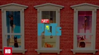 The Secret Life Of Pets - Trailer  US