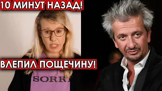 10 минут назад! Влепил пощёчину - Собчак нарвалась на месть разгневанного Богомолова