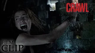 CRAWL | I Need My Phone | Official Film Clip
