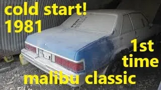 cold start. first time for the 1981 chevy malibu classic