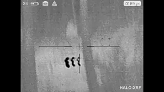 Sighting in N-Vision Halo XRF thermal scope