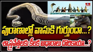 పురాణాల్లో వాసుకి గుర్తుందా...? శాస్త్రవేత్తలకు కీలక ఆధారాలు దొరికాయా...? To The Point | hmtv