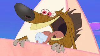 Zig & Sharko 🍖 HUNGRY HYENA (S01E59) New Episodes in HD