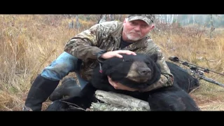 Ray's Recurve Bear