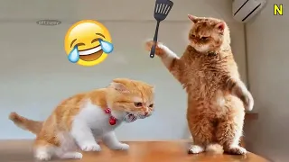 Funniest Cats And Dogs Videos 😁 ~ Best Funny Animal Videos 2023 😅 #198