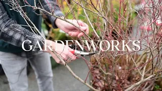 An Introduction to Pruning | GARDENWORKS Canada