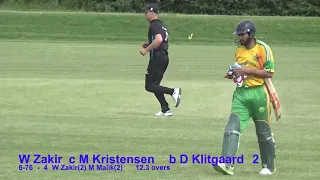 Cricket DK: T20 Finals June 9 2019 - Esbjerg v Ishøj