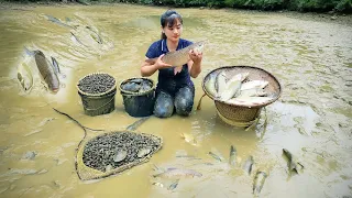 Harvest A Lot Of Fish Goes To Market Sell - Animal Care | Nhất Daily Life