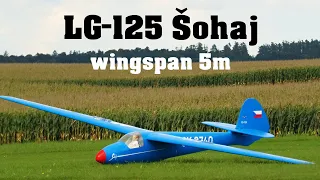 LG-125 Sohaj | 5m scale RC glider | 4K | Nesvacily 2022