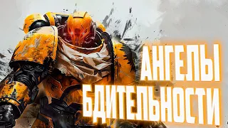 Ангелы Бдительности | Ордена Космодесанта (Warhammer 40.000)