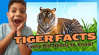 Tiger Tales: Fun and Fascinating Facts Every Kid Needs to Know! 🐾