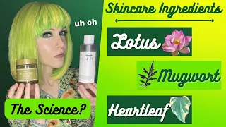 Lotus, Mugwort, Heartleaf Skincare! What's the SCIENCE Say?