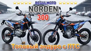 Regulmoto Norden 300