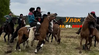 Сегодняшний улак,бузкаши,кокбору 12.05.2024