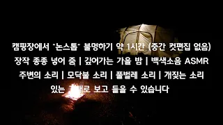 캠핑장에서 "논스톱" 불멍 약 1시간(중간반복 컷편집 없음)｜장작 종종 넣어줌｜깊어가는 가을 밤｜백색소음 ASMR｜주변의 소리｜모닥불, 풀벌레, 개짖는 소리｜있는 그대로 보고 듣기