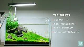 Planted Aquarium Tank Aquatic Plant Trimming