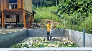 FULL VIDEO: 95 days of building a vegetable and flower garden, decorating a beautiful fish pond