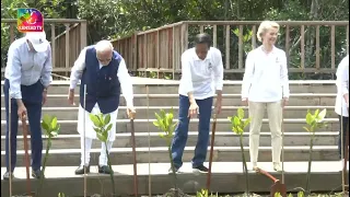 PM Modi plants a sapling with other G20 leaders at Mangrove forest in Bali | 16 November, 2022