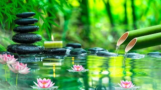 Beautiful Piano Music 🌿 Bamboo, Relaxing Music, Nature Sounds, Relieves Stress Music,Sleep music