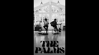 The Palms "Pretenders" Live