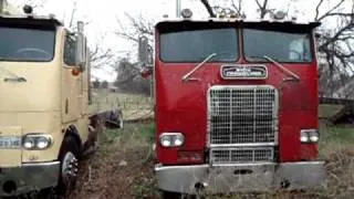 cabover freightliners sittin in the weeds