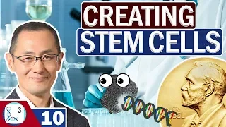 How To Make Stem Cells | Yamanaka Factors