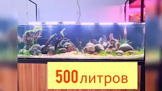 Запуск 500 литров/Травник/На питательной подложке